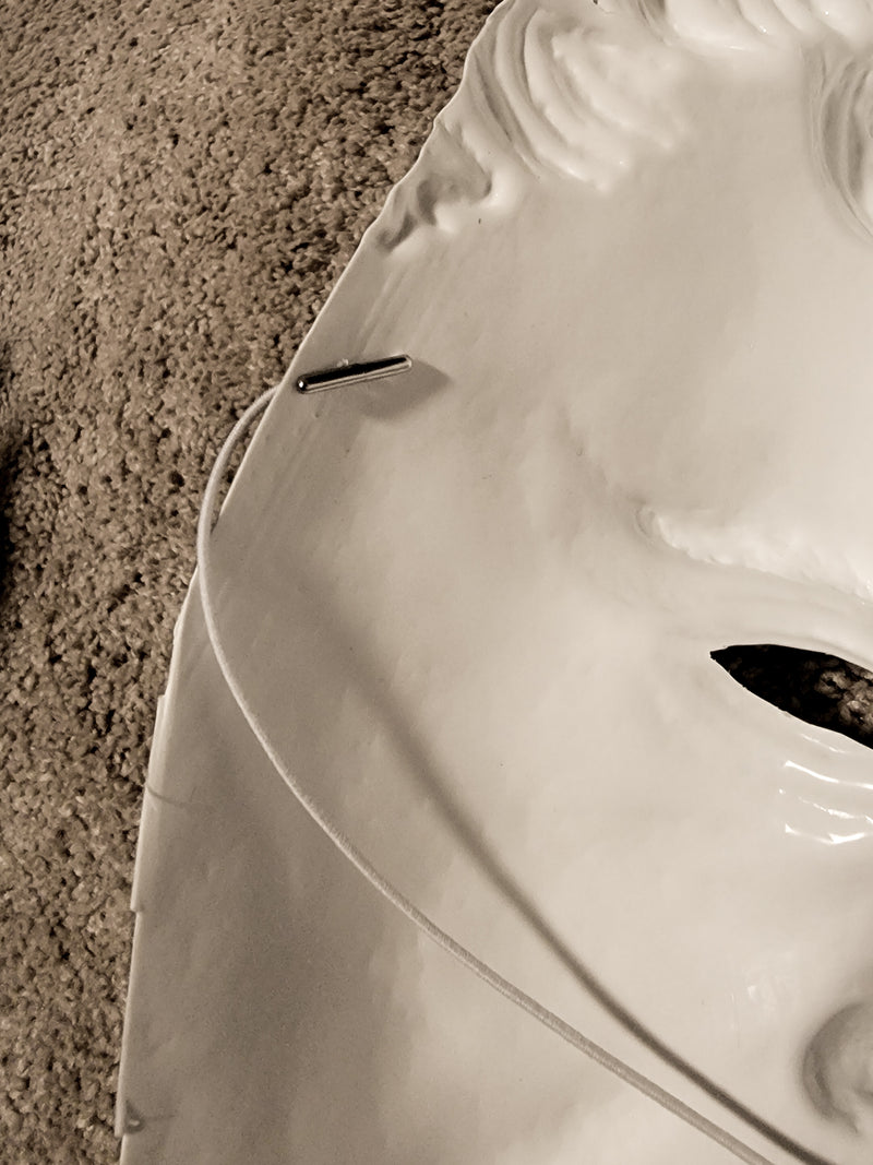 "We Are Kirk" Mask-9